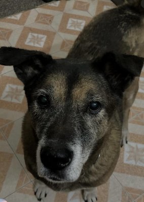 Micky