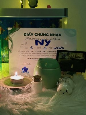 Bé Ny